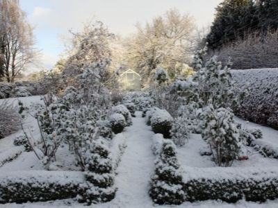 Projekt Zimowy ogród w stylu zen